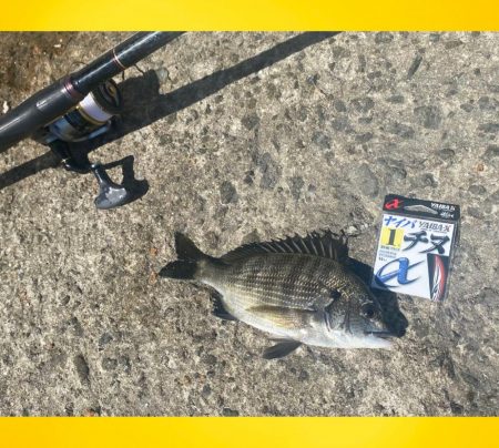 水深が低い状況からスタート