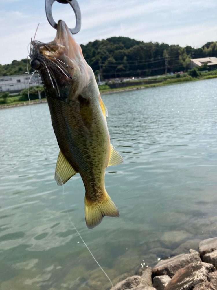 ラバージグで50up