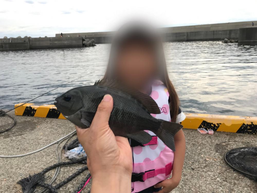 親不知港フカセ釣り