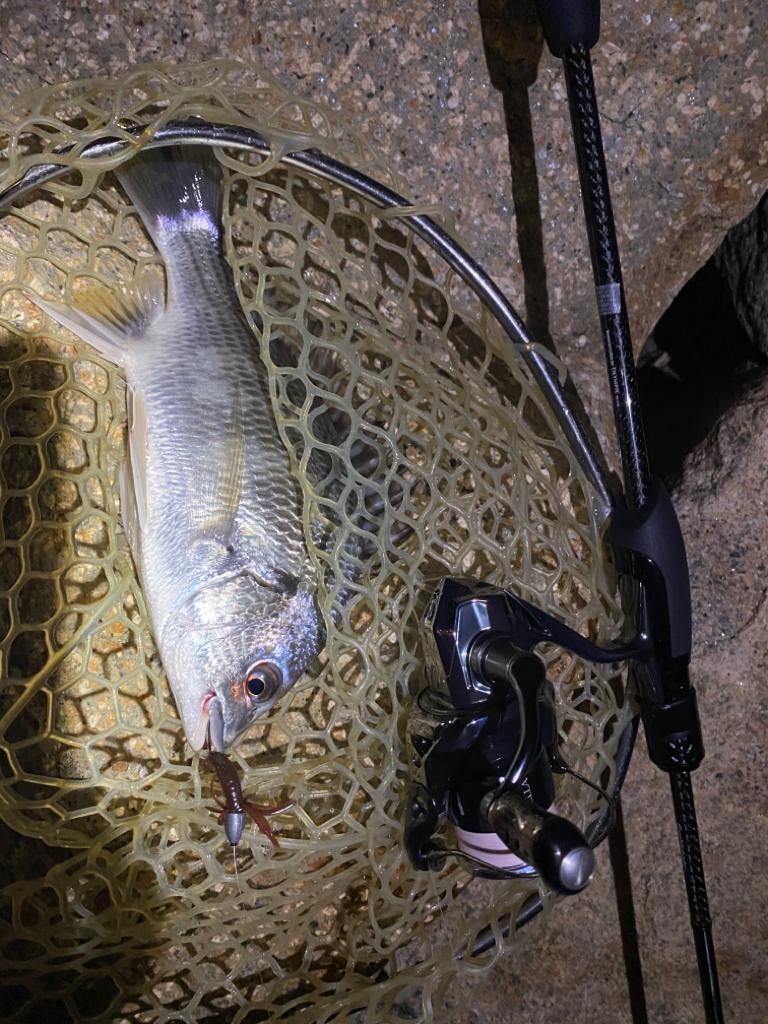 淀川ブリームゲーム