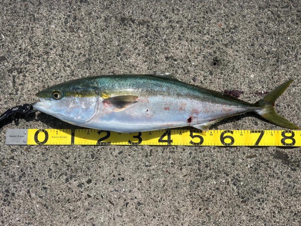 忍耐が報われました