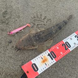 激荒れのサーフでマゴチ