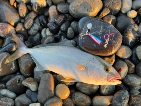 状況が読めない時はこのジグが強い