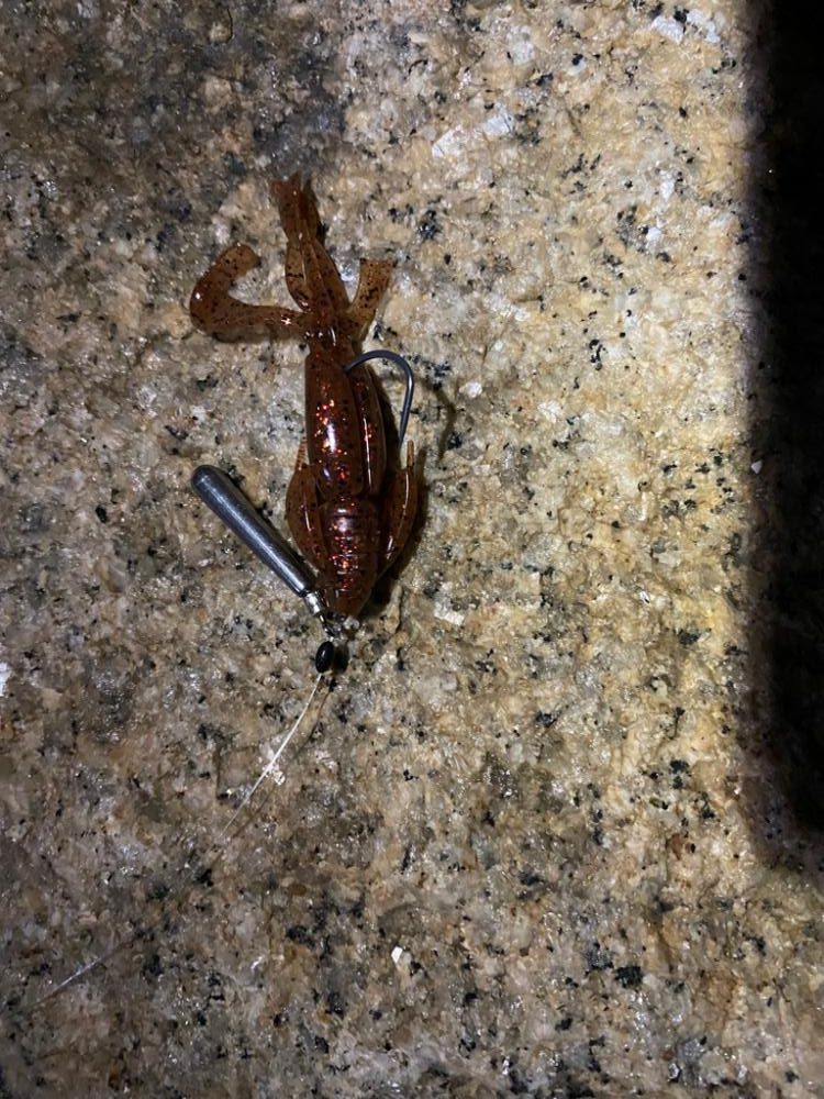 チニング アタリはありますが