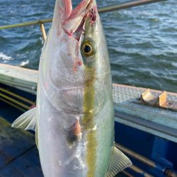 青物狙いでサワラ