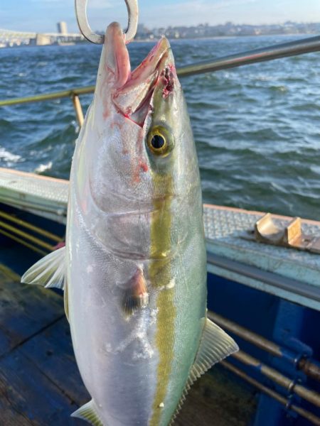 青物狙いでサワラ