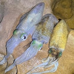 墨付け無事完了できましたっ⭐︎