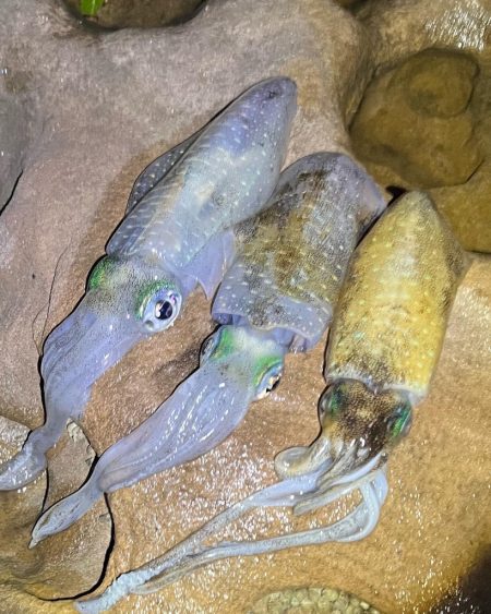 墨付け無事完了できましたっ⭐︎