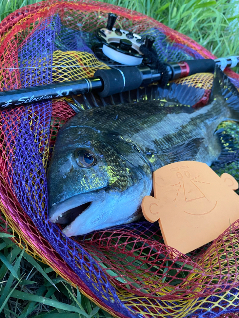 ヘチってきました