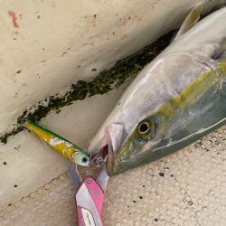 明石沖激流ジギング