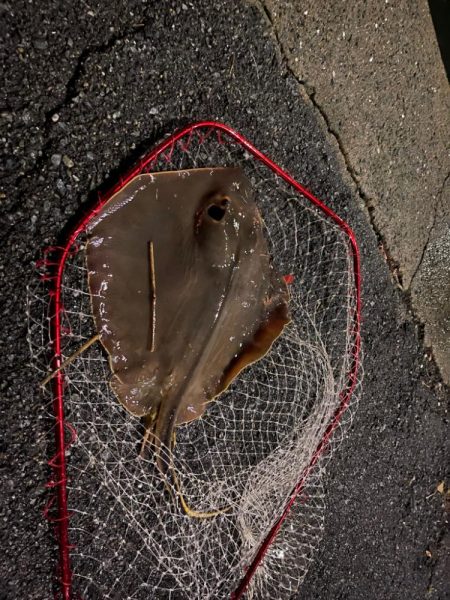 ルアー泥棒…笑