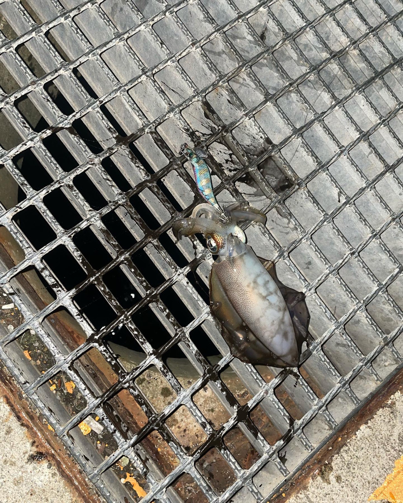 いつもの場所で