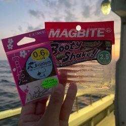 バチコン⋆*🎣♬