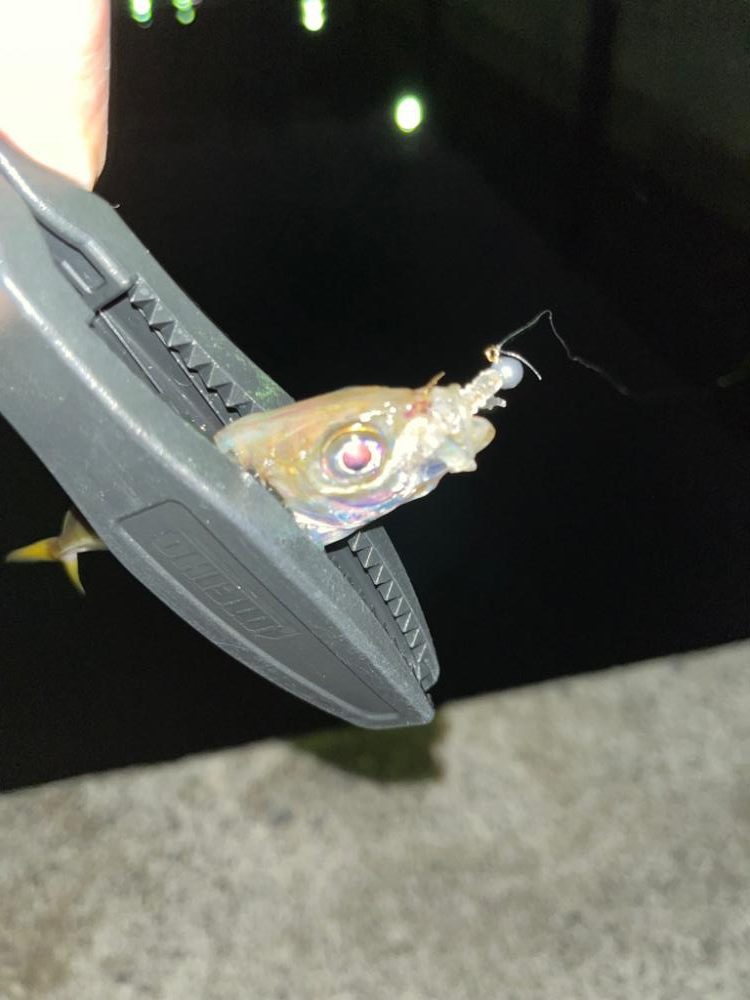 タイムアタック