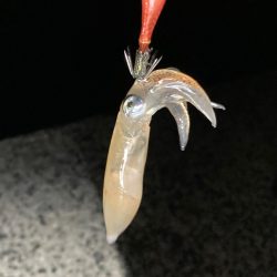 ベイカ？エギング