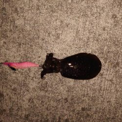 ナイトエギング常夜灯場