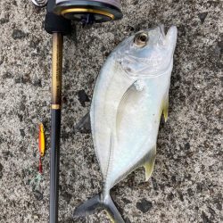 ロッド入魂完了