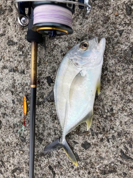 ロッド入魂完了