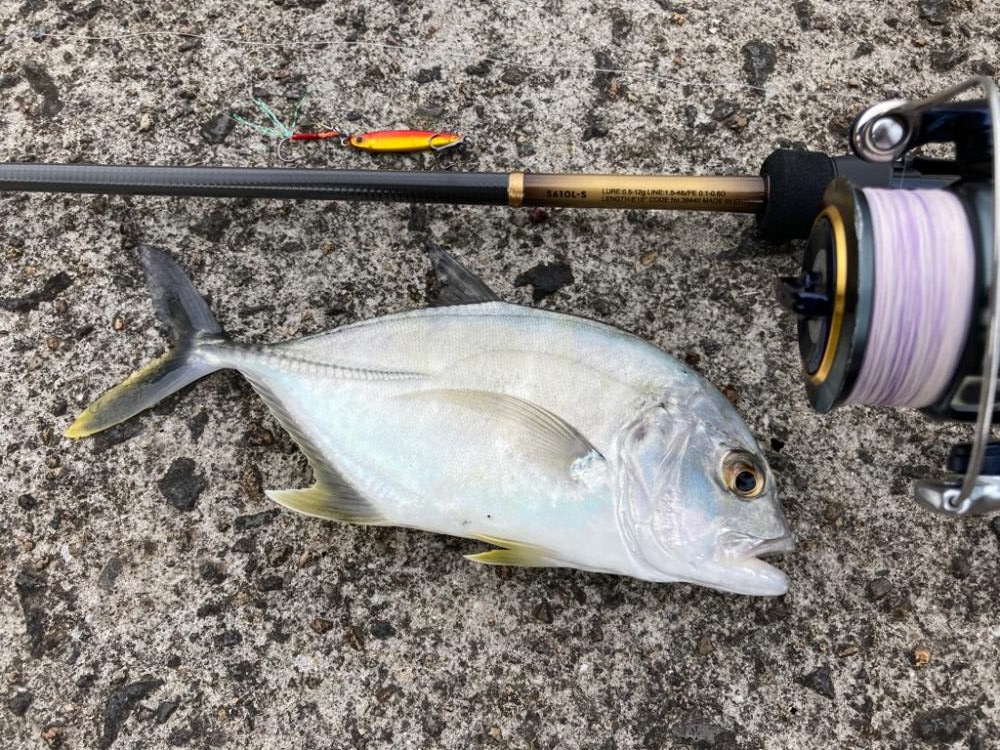 ロッド入魂完了