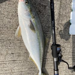 ショアジギング