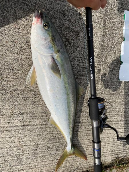 ショアジギング