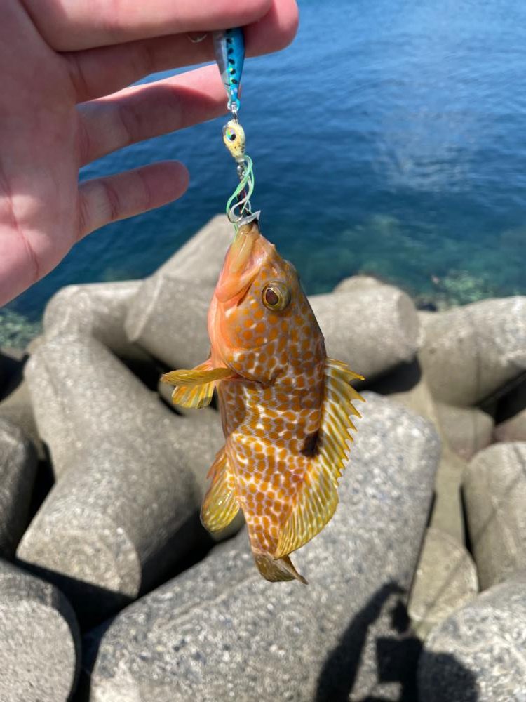 毒針には気をつけて