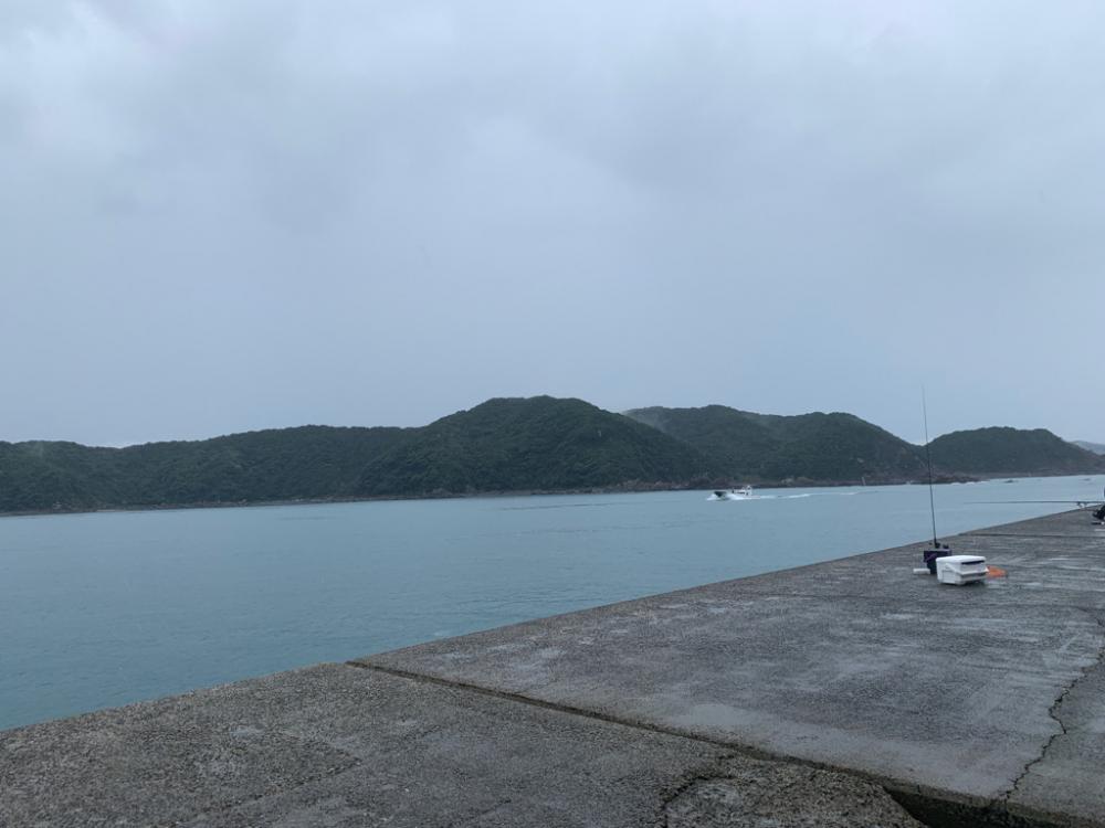 雨の日は体力と気力次第
