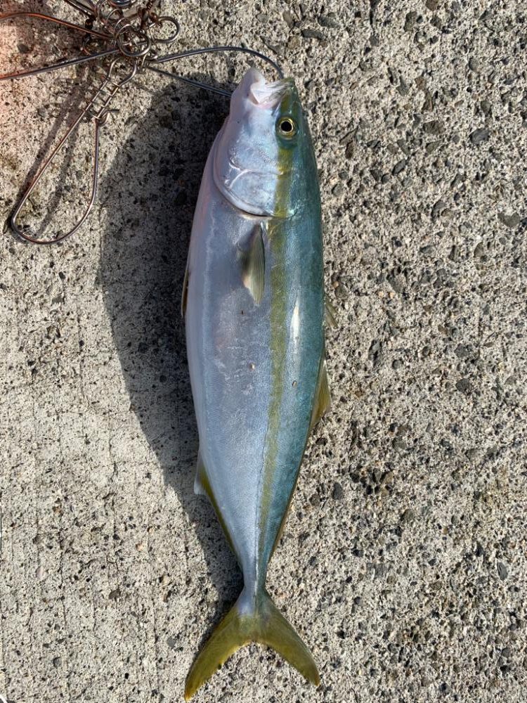 帰り際になんとか！