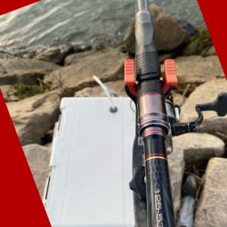 勢いよくウキが沈み