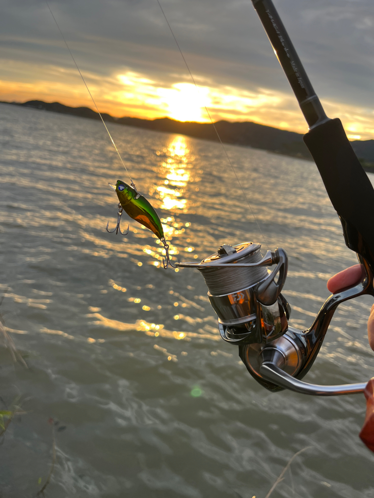 河川シーバスを求めて