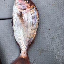 ジギング満喫☆