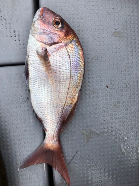 ジギング満喫☆