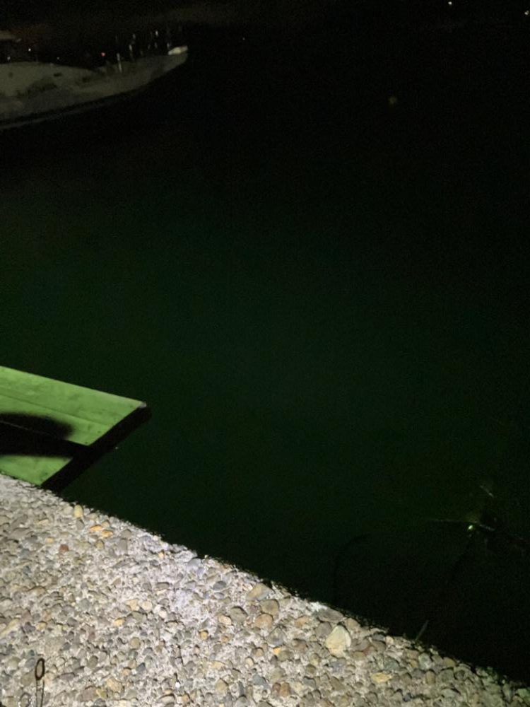 初エギング調査