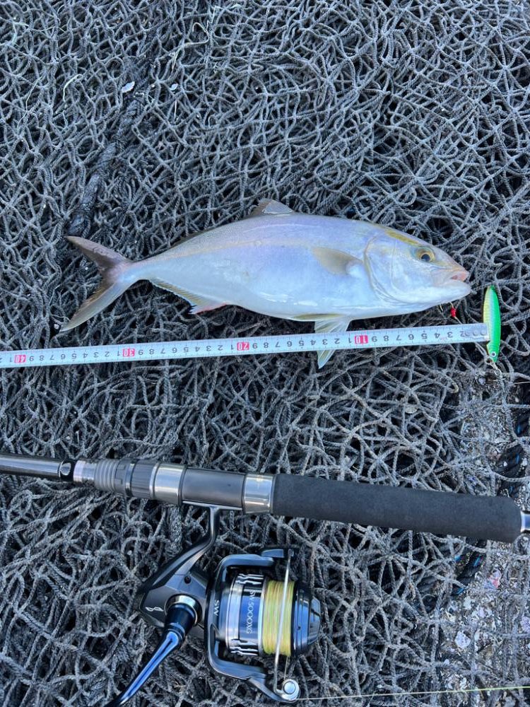 ショアジギング