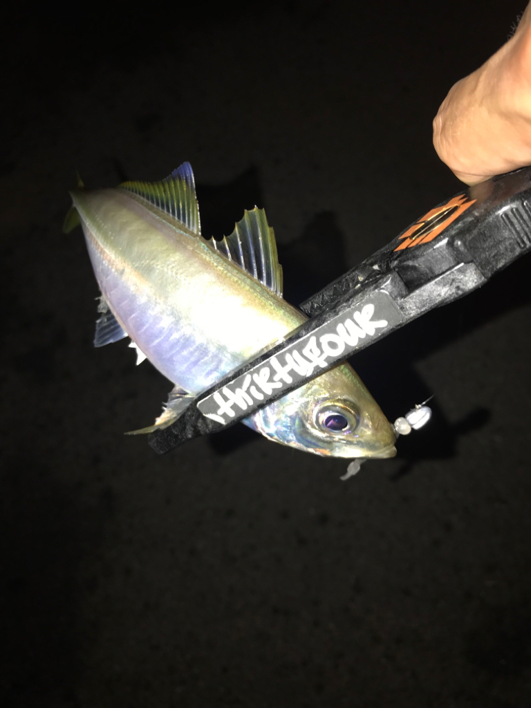 台風接近前夜💨