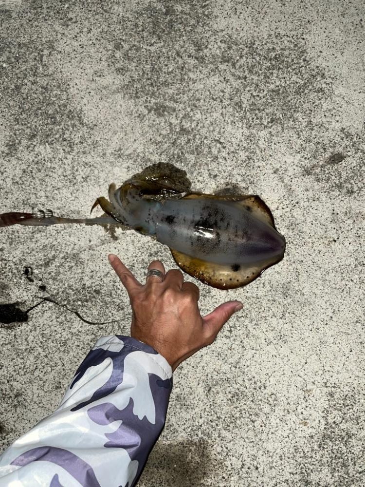 まさかの高級魚