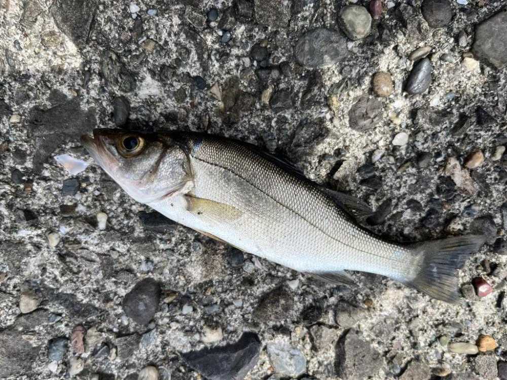 隙間時間ライトゲーム