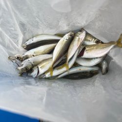 台風前のとっとパーク小島