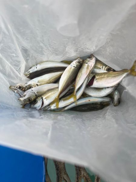 台風前のとっとパーク小島