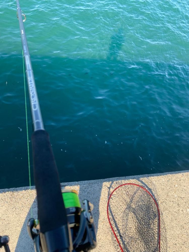 ライトショアジギング