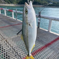 好調とっとパーク