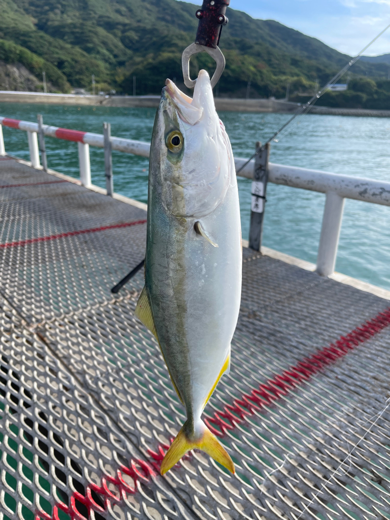 好調とっとパーク