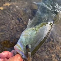 天草行ったら大体教良木