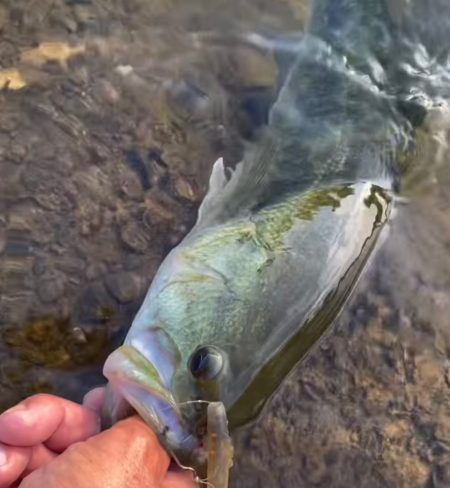 天草行ったら大体教良木