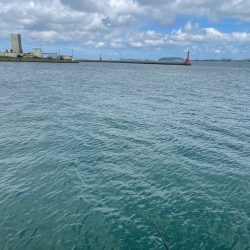 近場でチヌ釣り