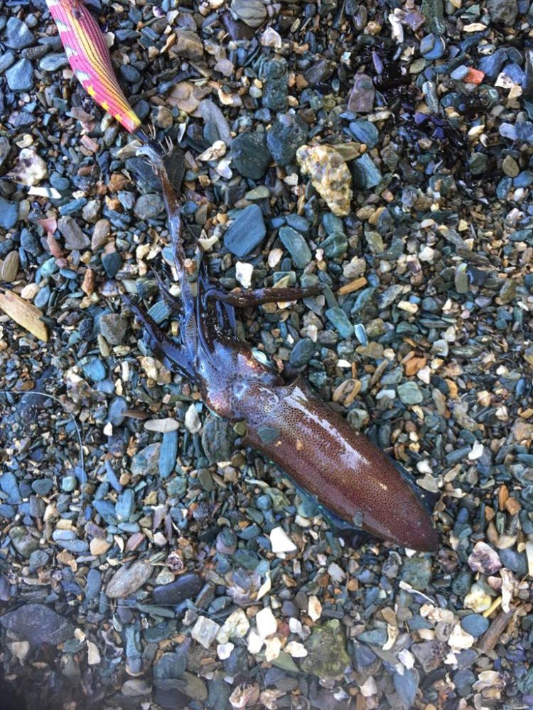 第四回雰囲気あります