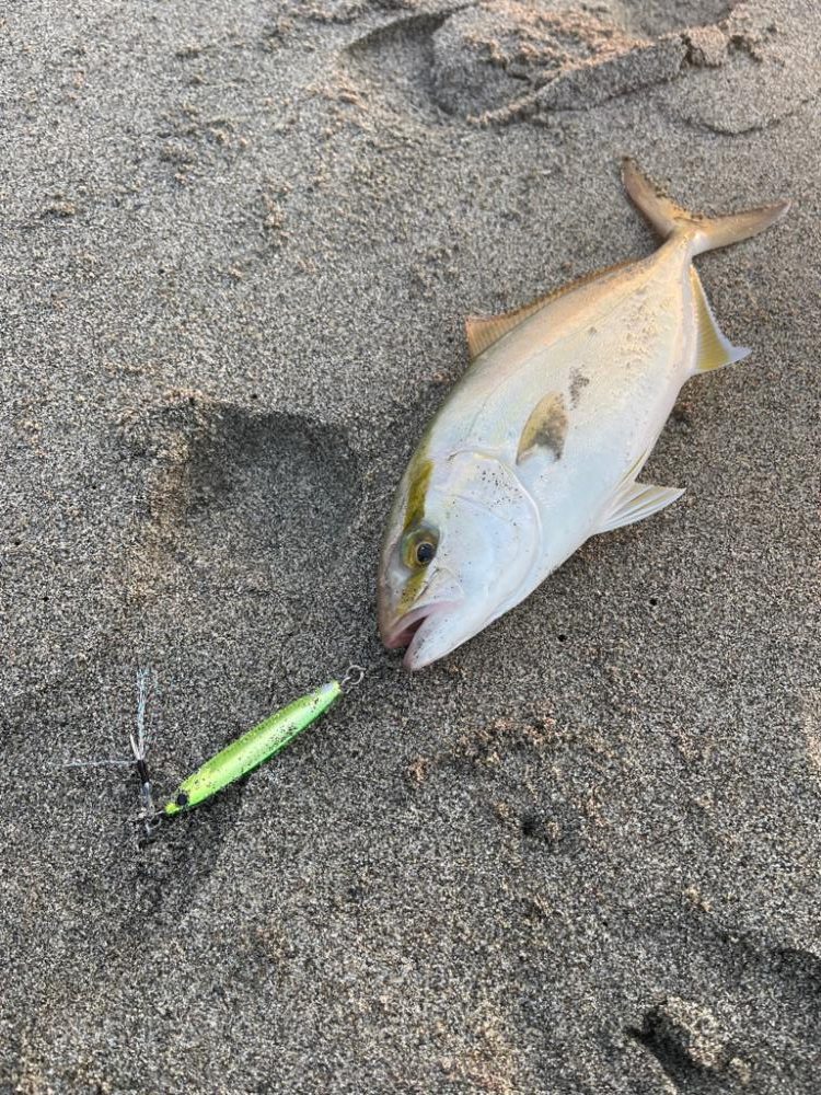 荒れる前は爆釣チャンス‼︎