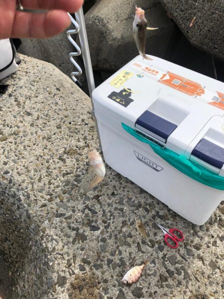 泉南キス シーズン下降気味でも∞キス