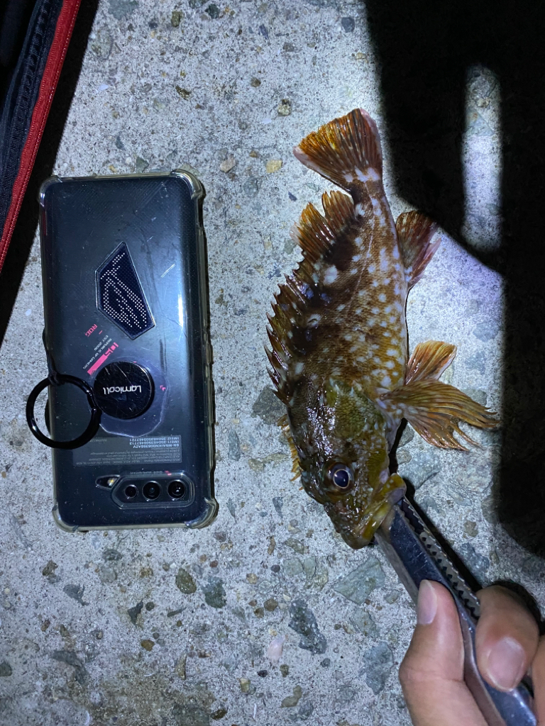 海なし県の人満足！