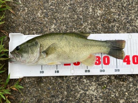 フリーリグで一発！